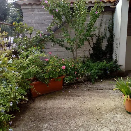 Il Cactus San Giovanni Incarico