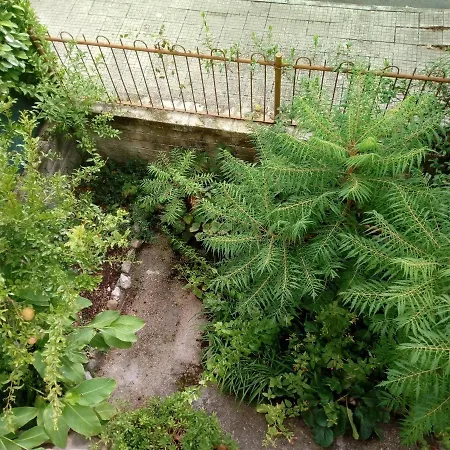 Bed and breakfast Il Cactus San Giovanni Incarico